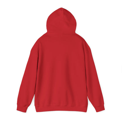 Qa3 Hoodie