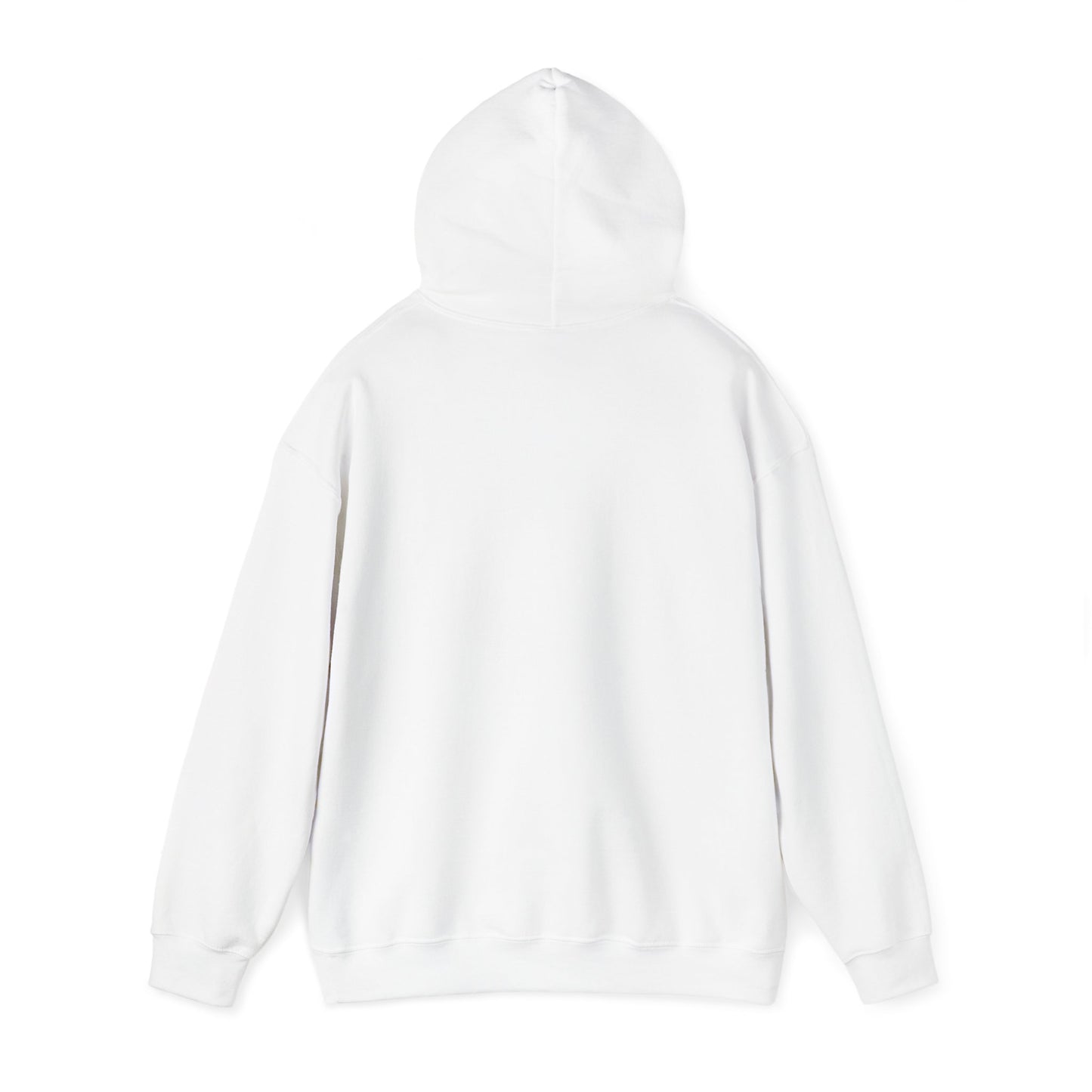 Qa3 Hoodie